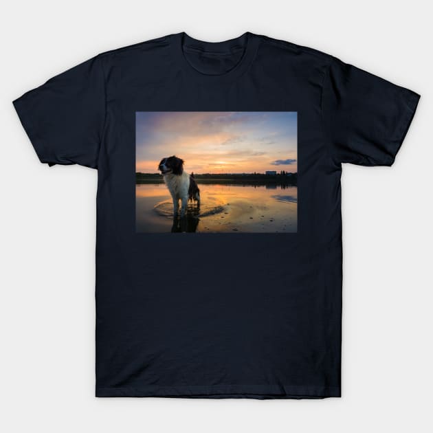 sundown refreshment T-Shirt by psychoshadow